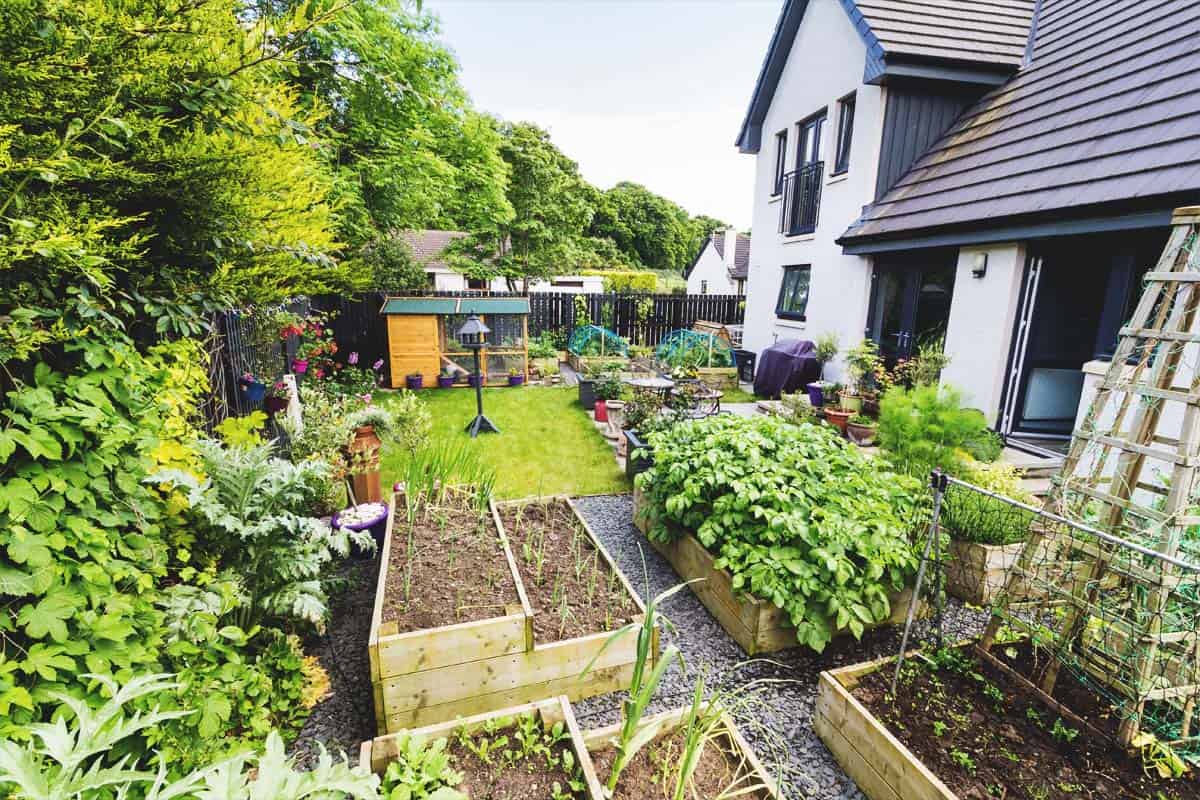 Building an Off-Grid Homestead ..... start to finish